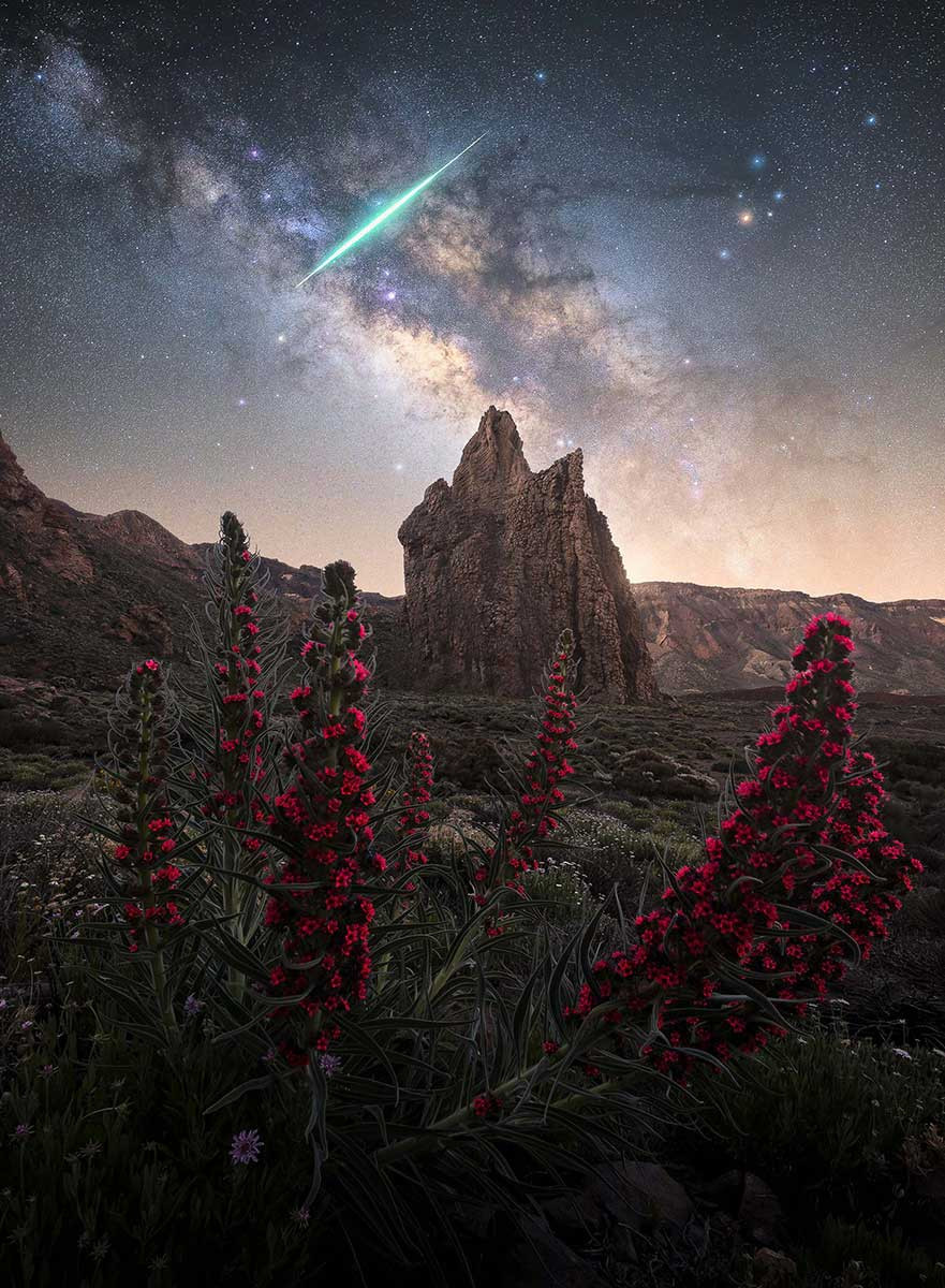 THE CATHEDRAL LIGHT SHOW ROKSOLYANA HILEVYCH | Nature Infocus