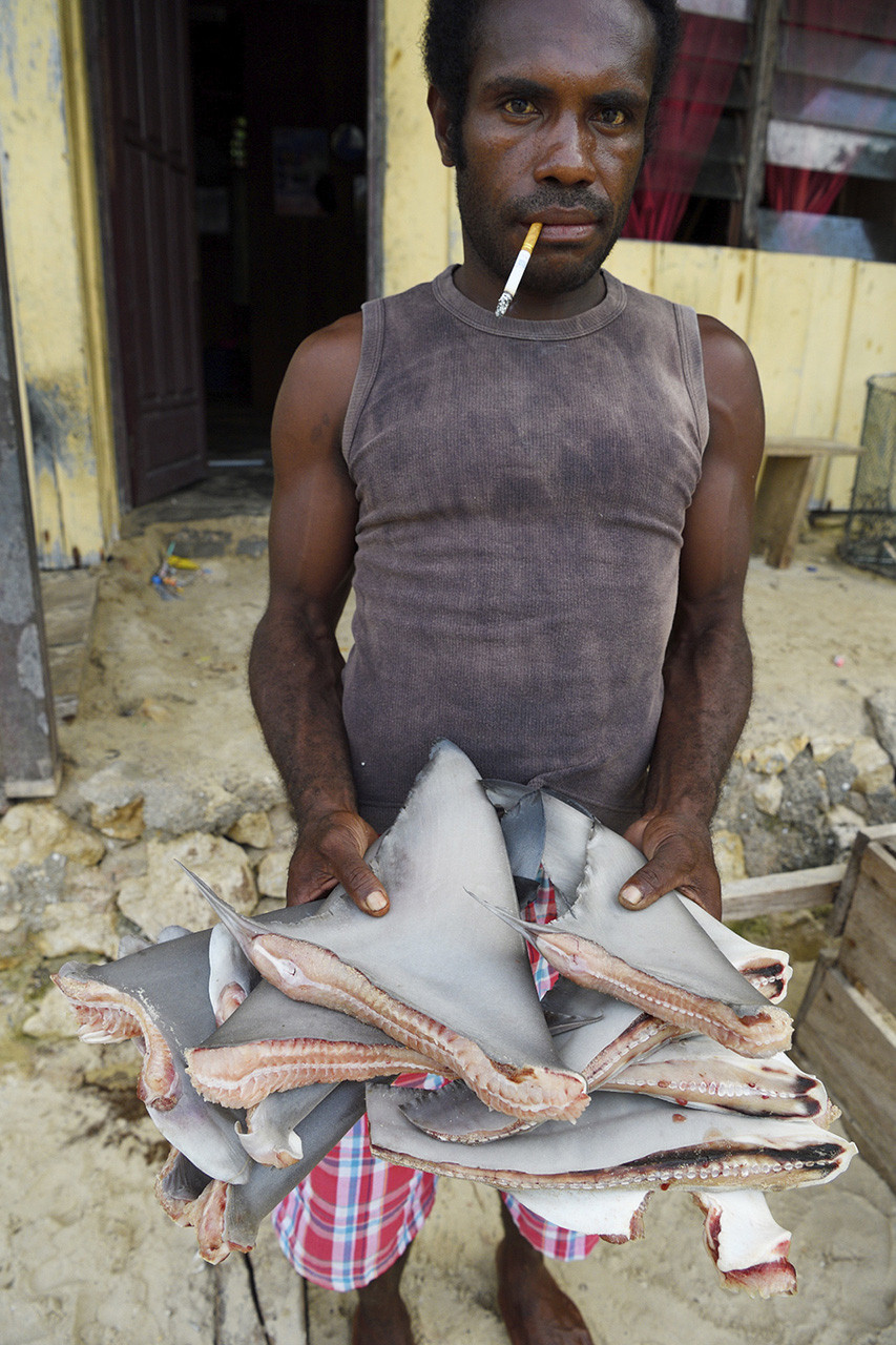      v    Staffan Widstrand swd                      | Nature Infocus