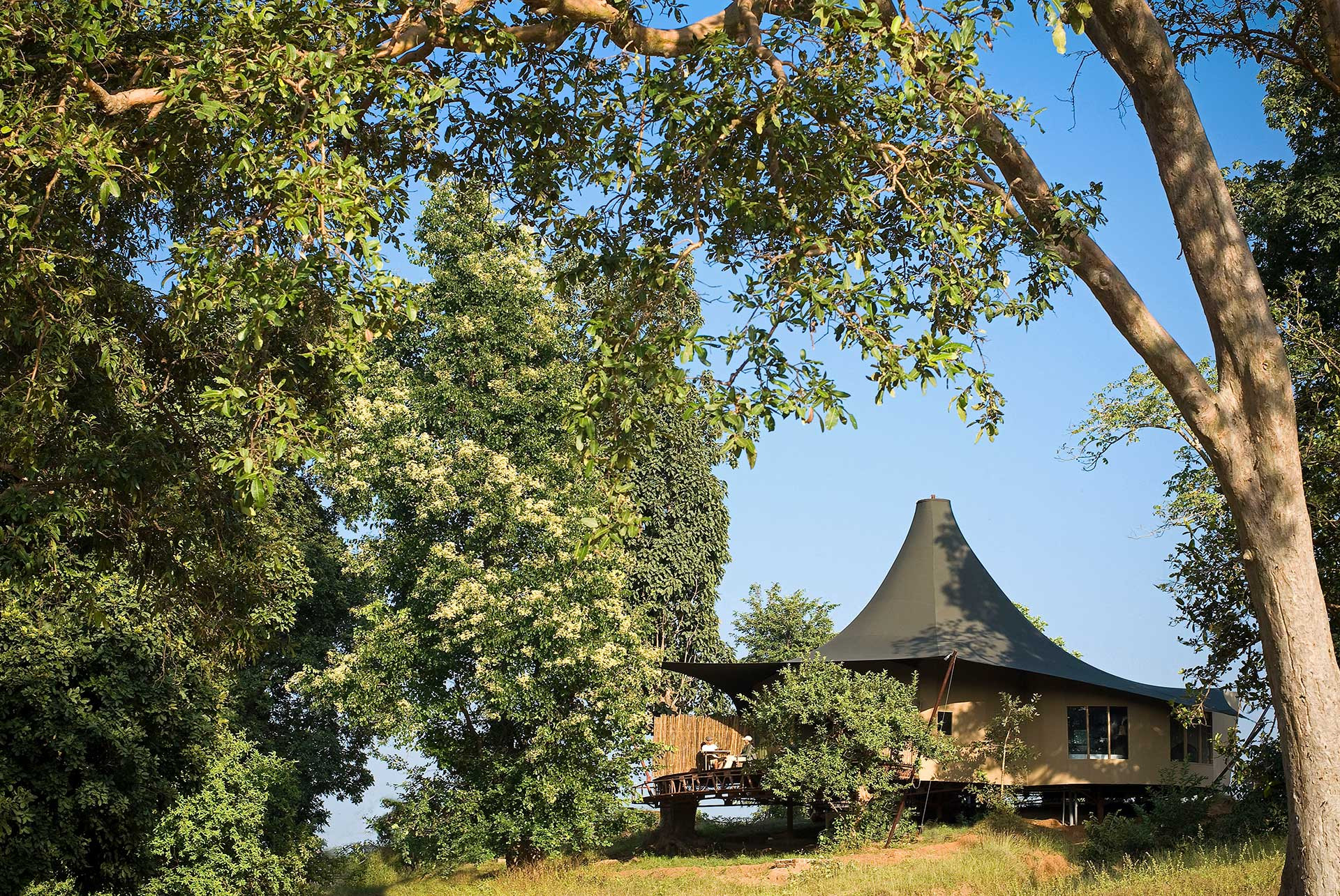 Tent Exterior | Nature Infocus