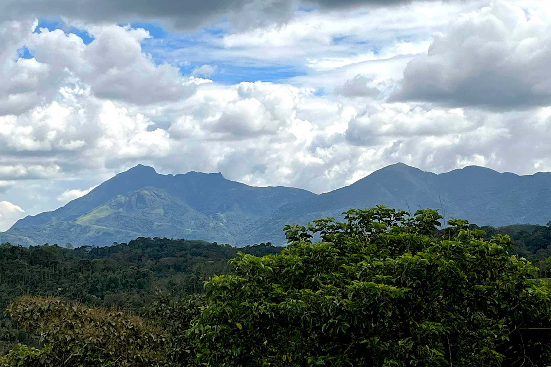 Banasura Mala GurukulaERA | Nature Infocus