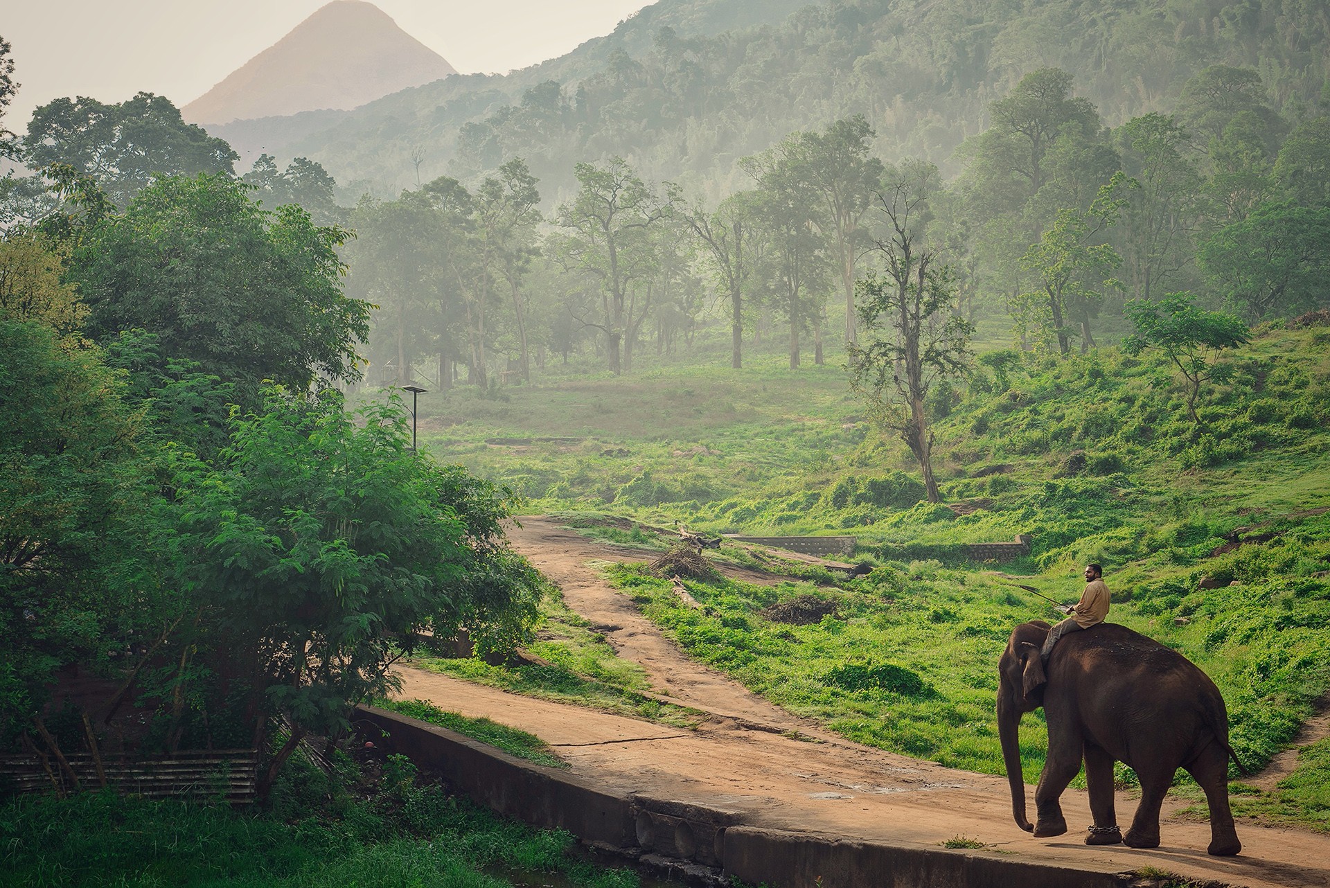 Dsc         jpeg - Quick Five: Sreedhar Vijayakrishnan | Nature inFocus