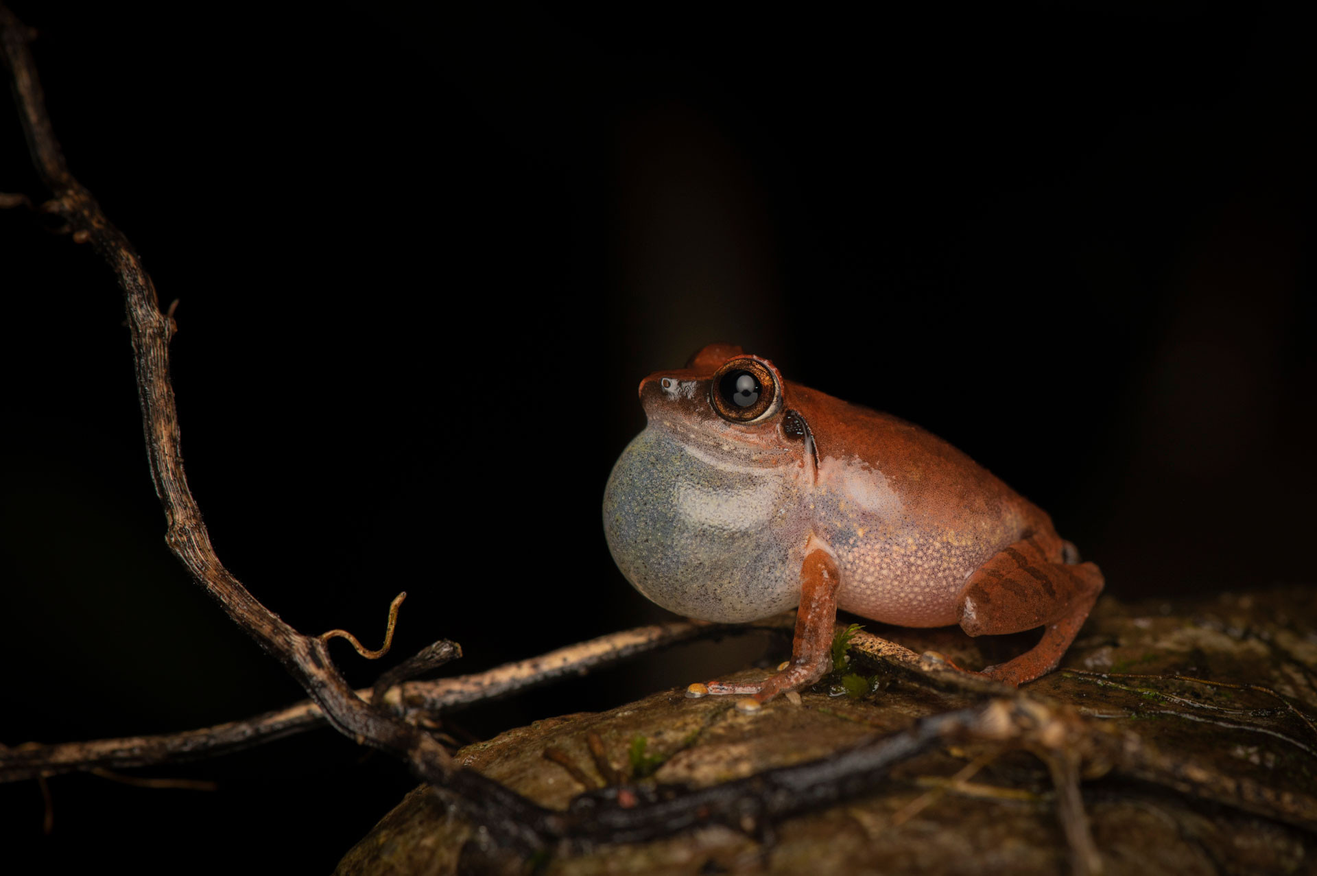 DSC | Nature Infocus