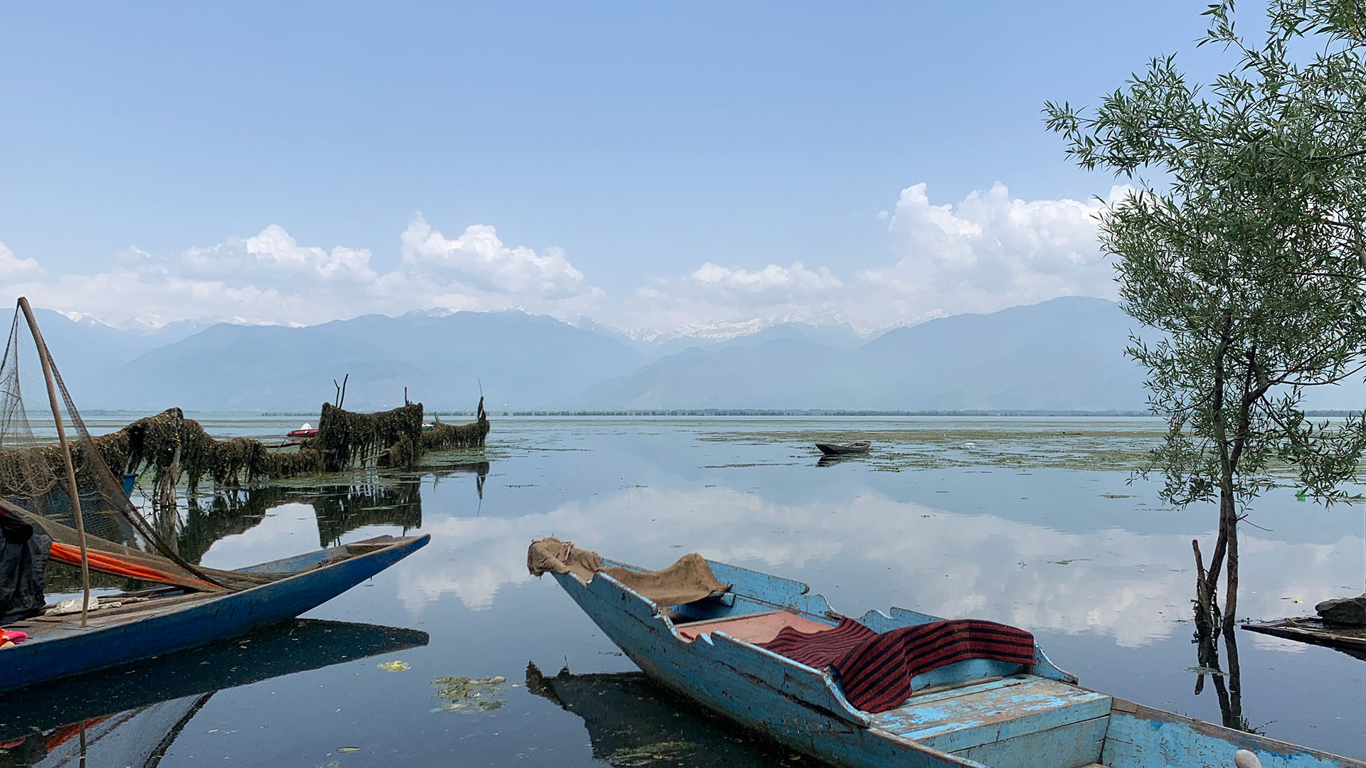      Image   Wular | Nature Infocus