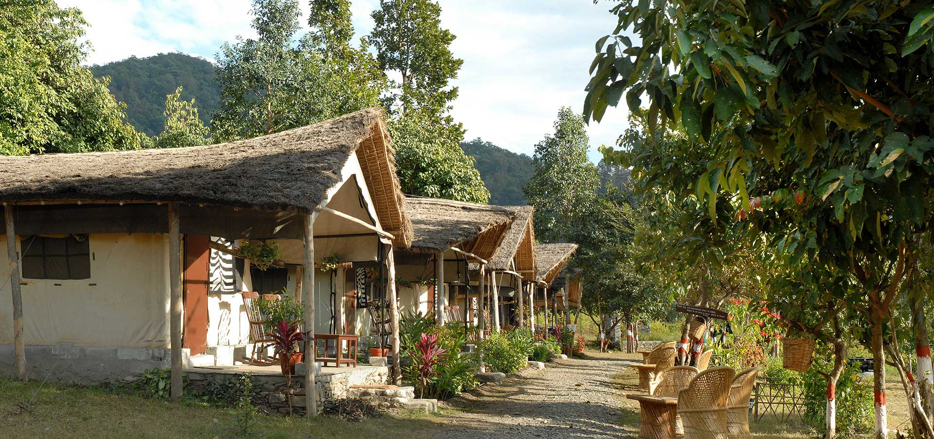 Jamoon Tent Ext | Nature Infocus