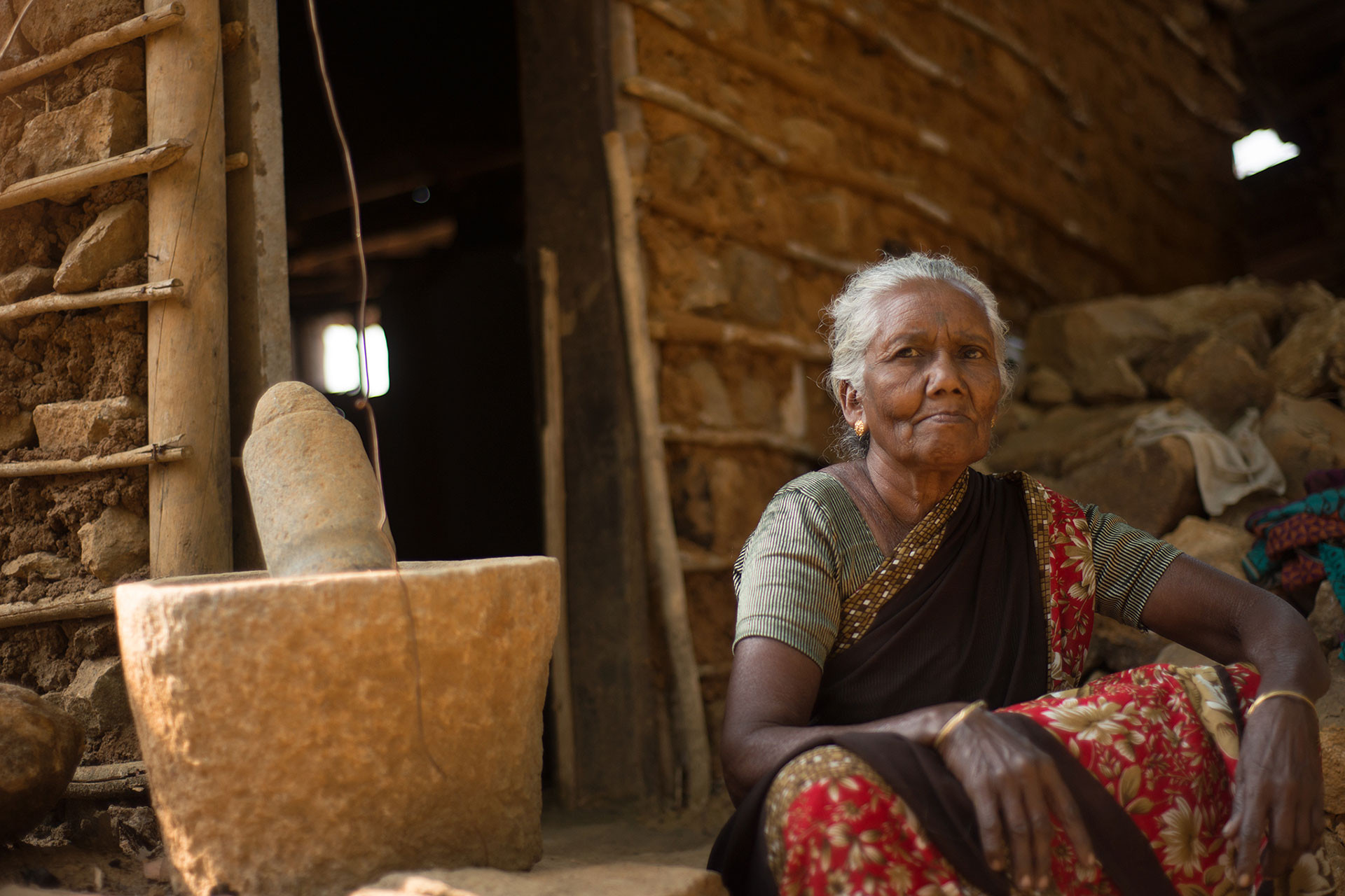 Kadars GAN | Nature Infocus