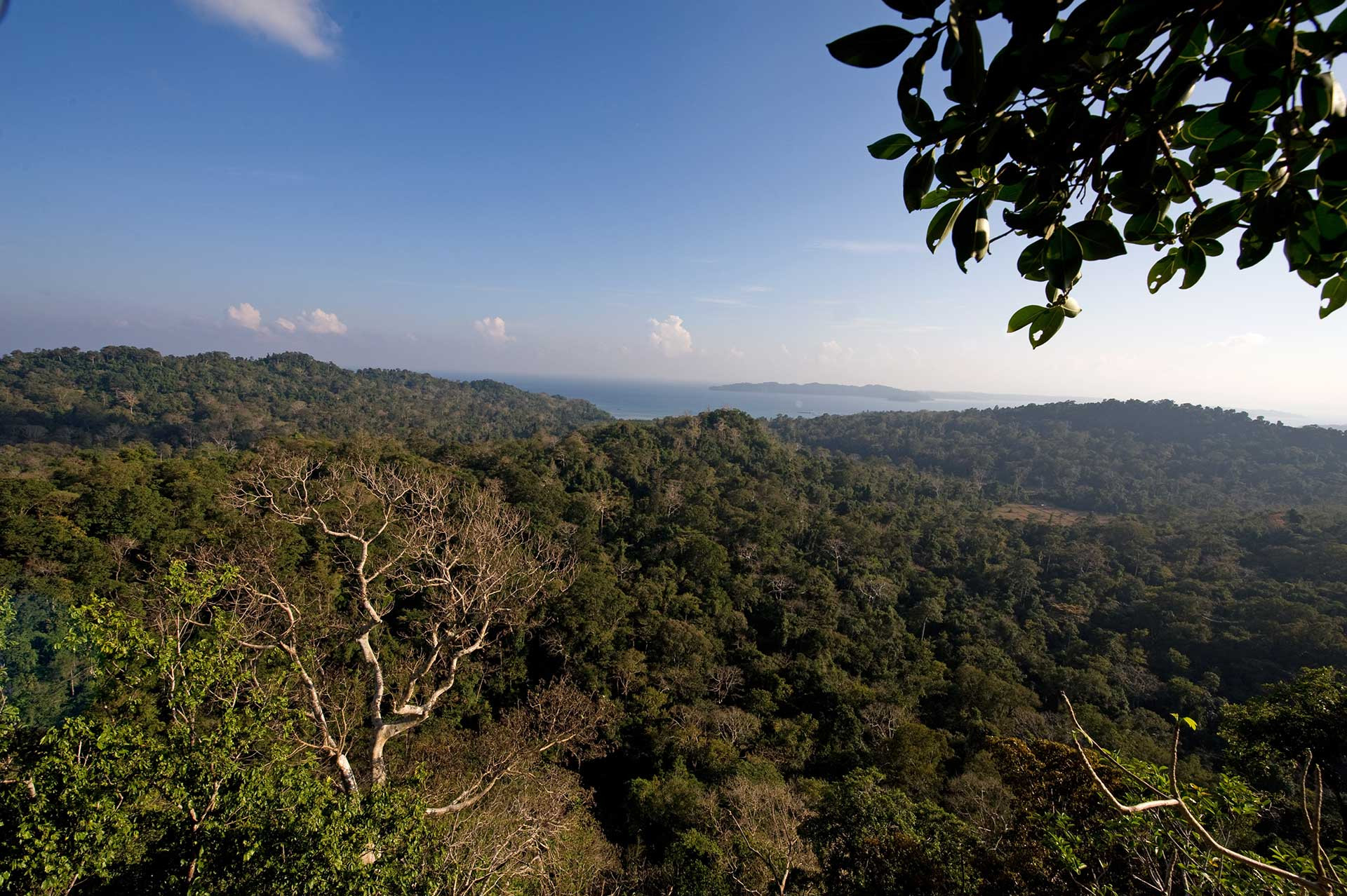 Scenic mountains from Western Ghats 