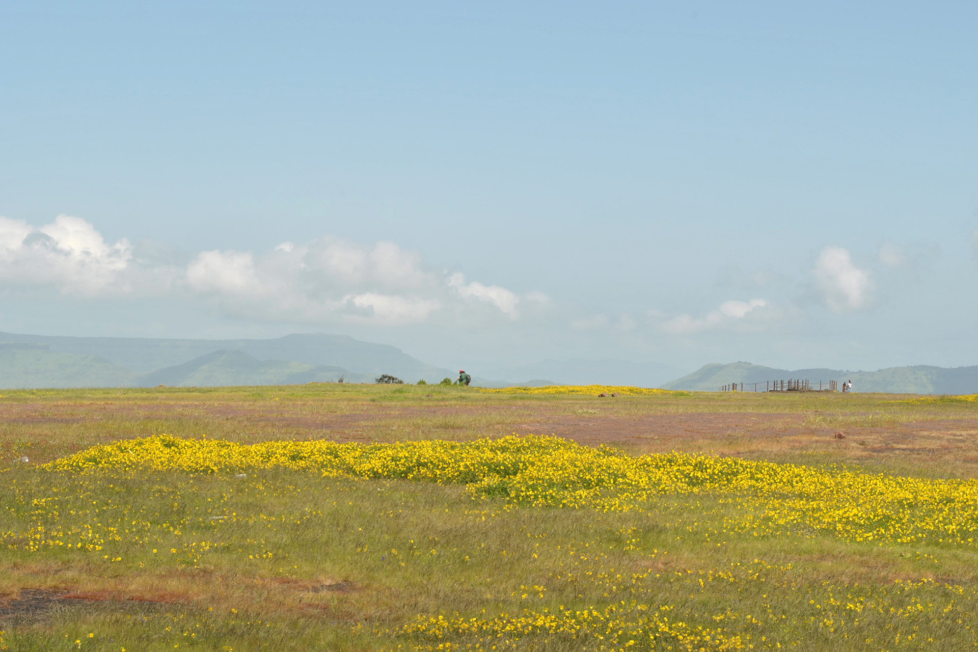 Panchgani tableland | Nature Infocus