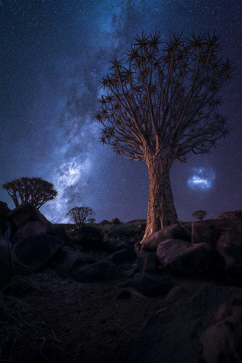 QUIVER DREAMS PETER HOSZANG | Nature Infocus