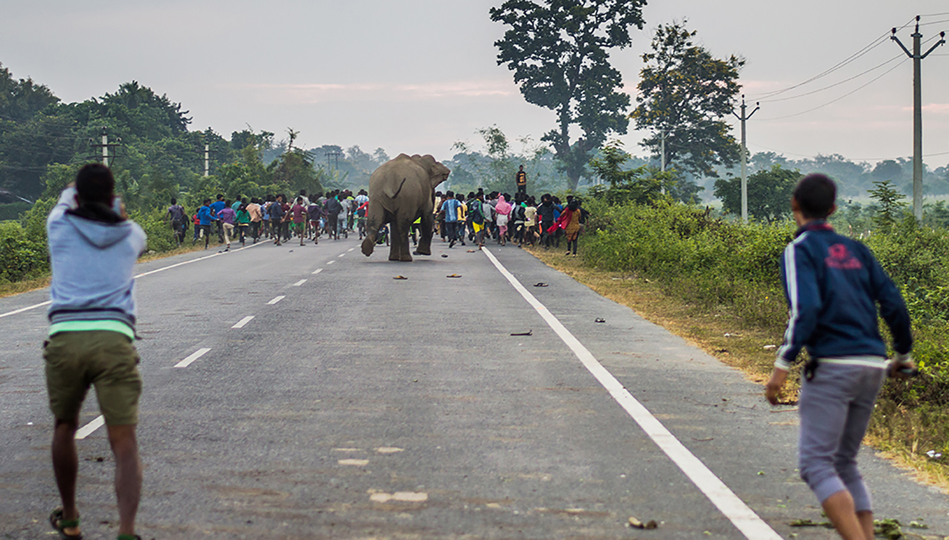 Rahul baruah - The Challenges Of Mob Management When Rescuing Wildlife | Nature inFocus