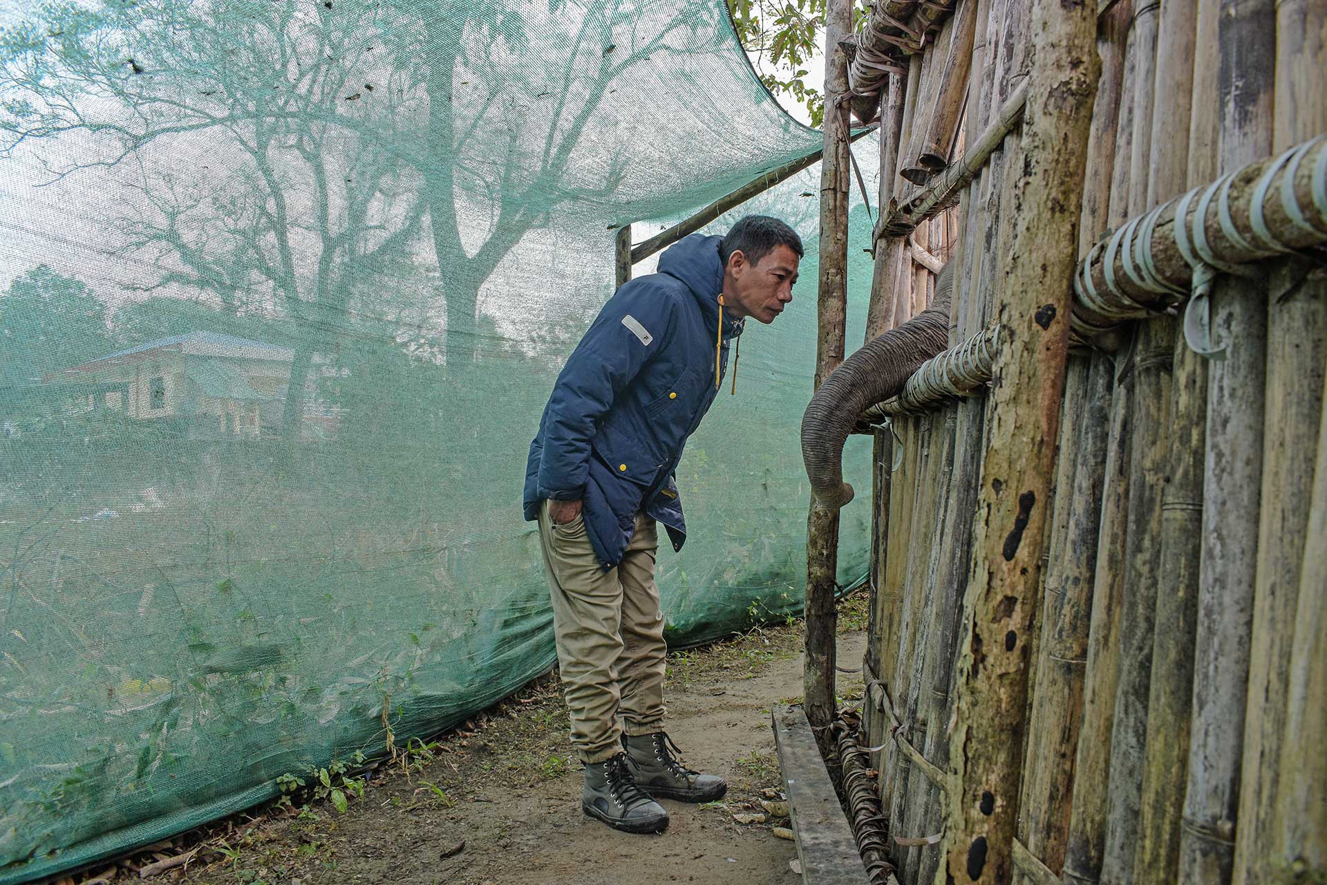 Pakke elephant camp