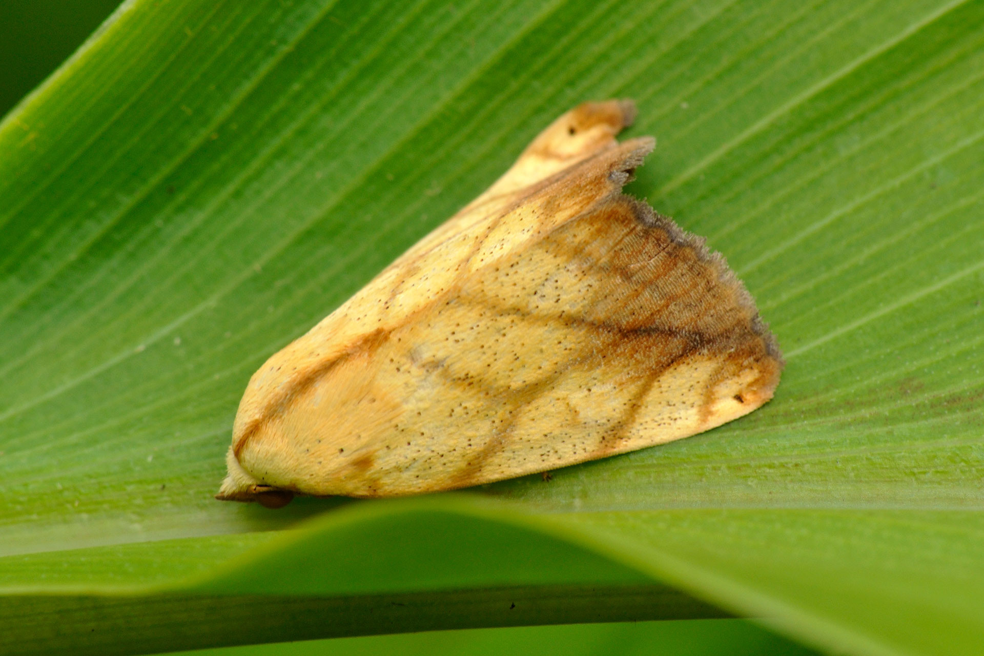 RR DSC hires | Nature Infocus