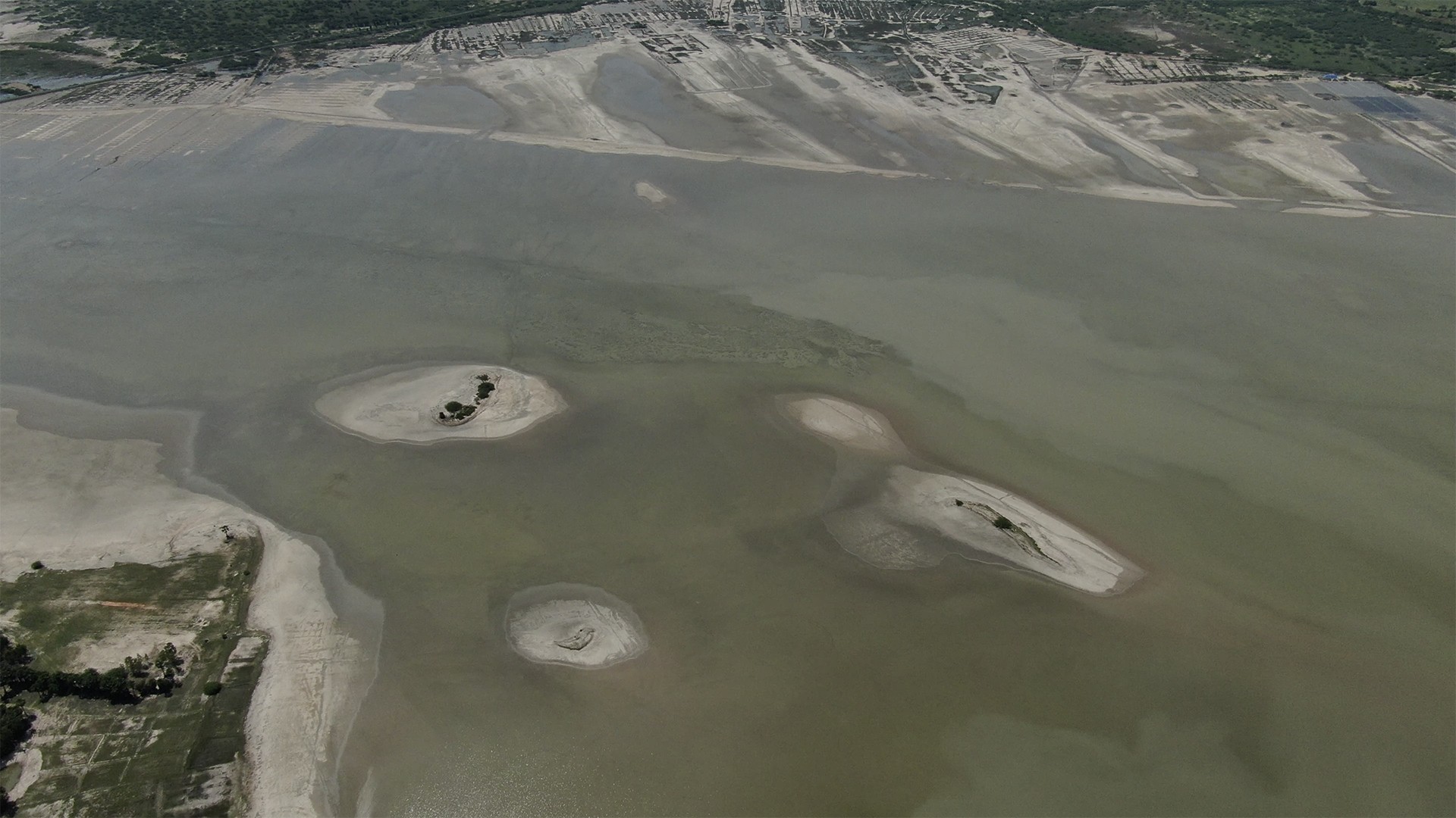 Screen shot at pm copy - Reminiscing Wetlands | Nature inFocus