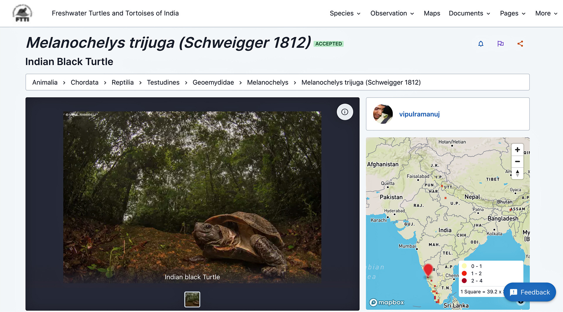 Citizen science project for freshwater turtles and tortoises