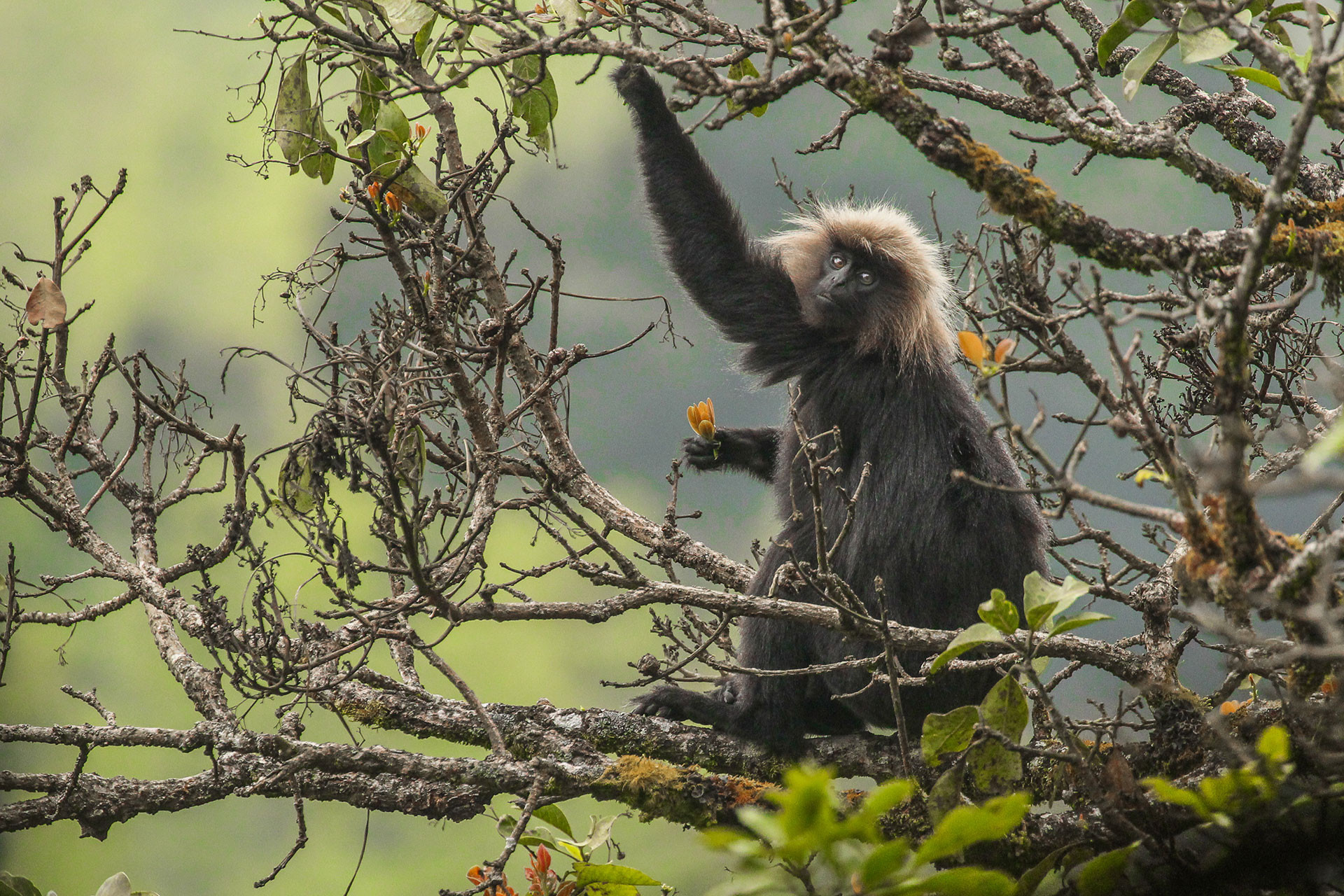 Tamil Nadu Vedansh Pandey | Nature Infocus