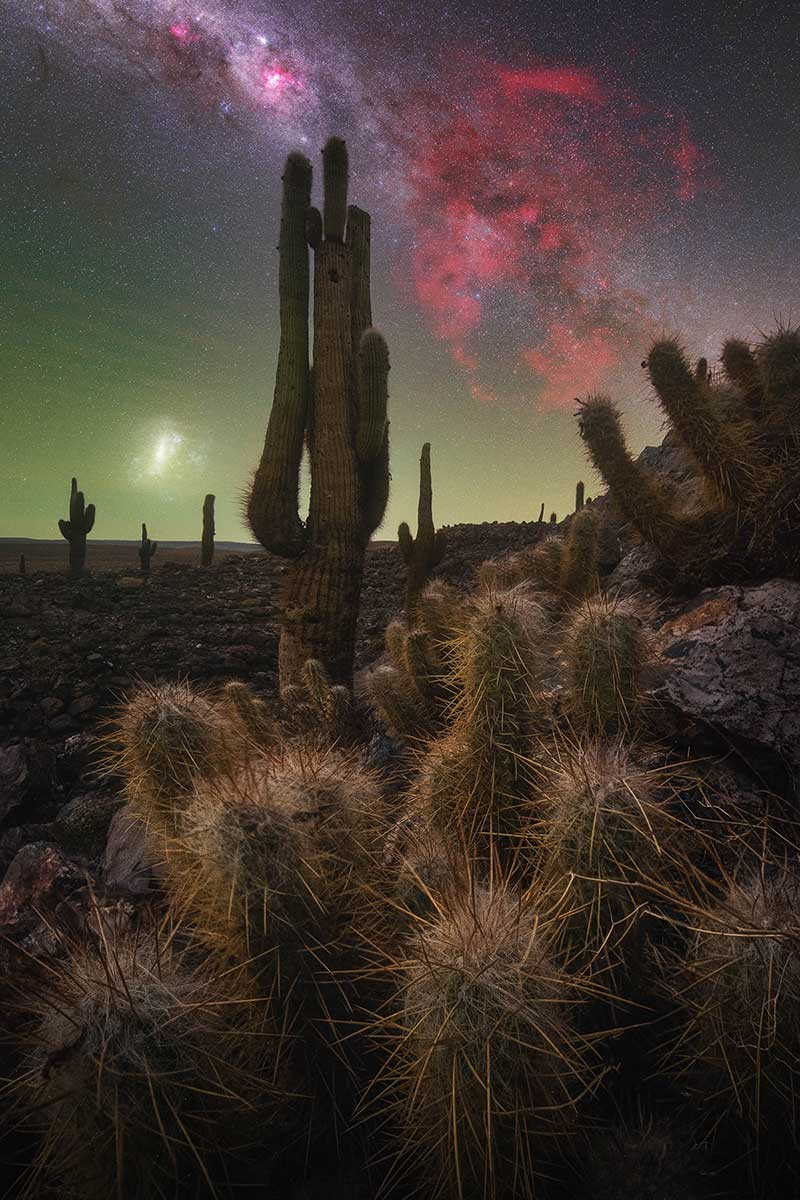 THE CACTUS VALLEY PABLO RUIZ GARCI A | Nature Infocus