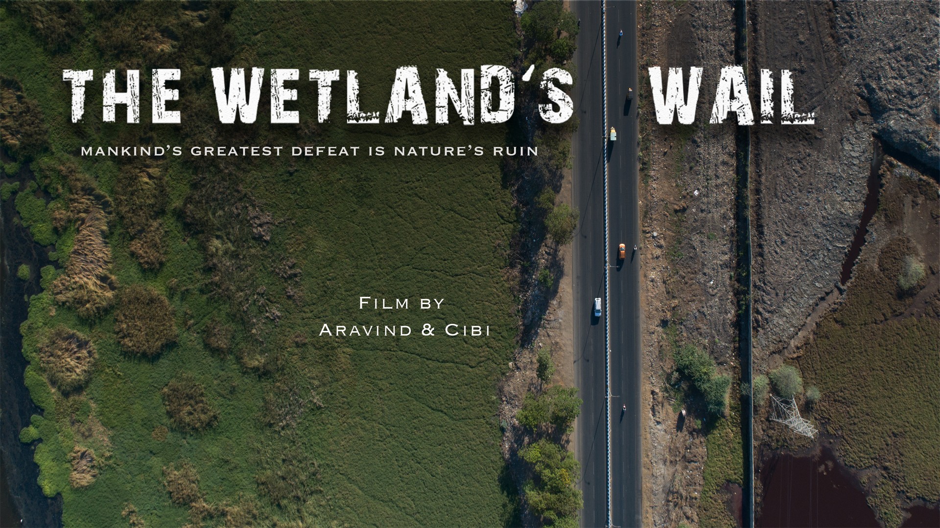 The wetland s wail - Nature inFocus Film Awards 2019: The Winners | Nature inFocus