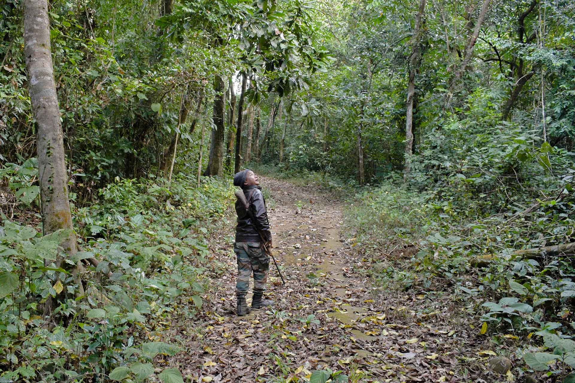 Going on forest patrol in Pakke Tiger Reserve Arunachal Pradesh