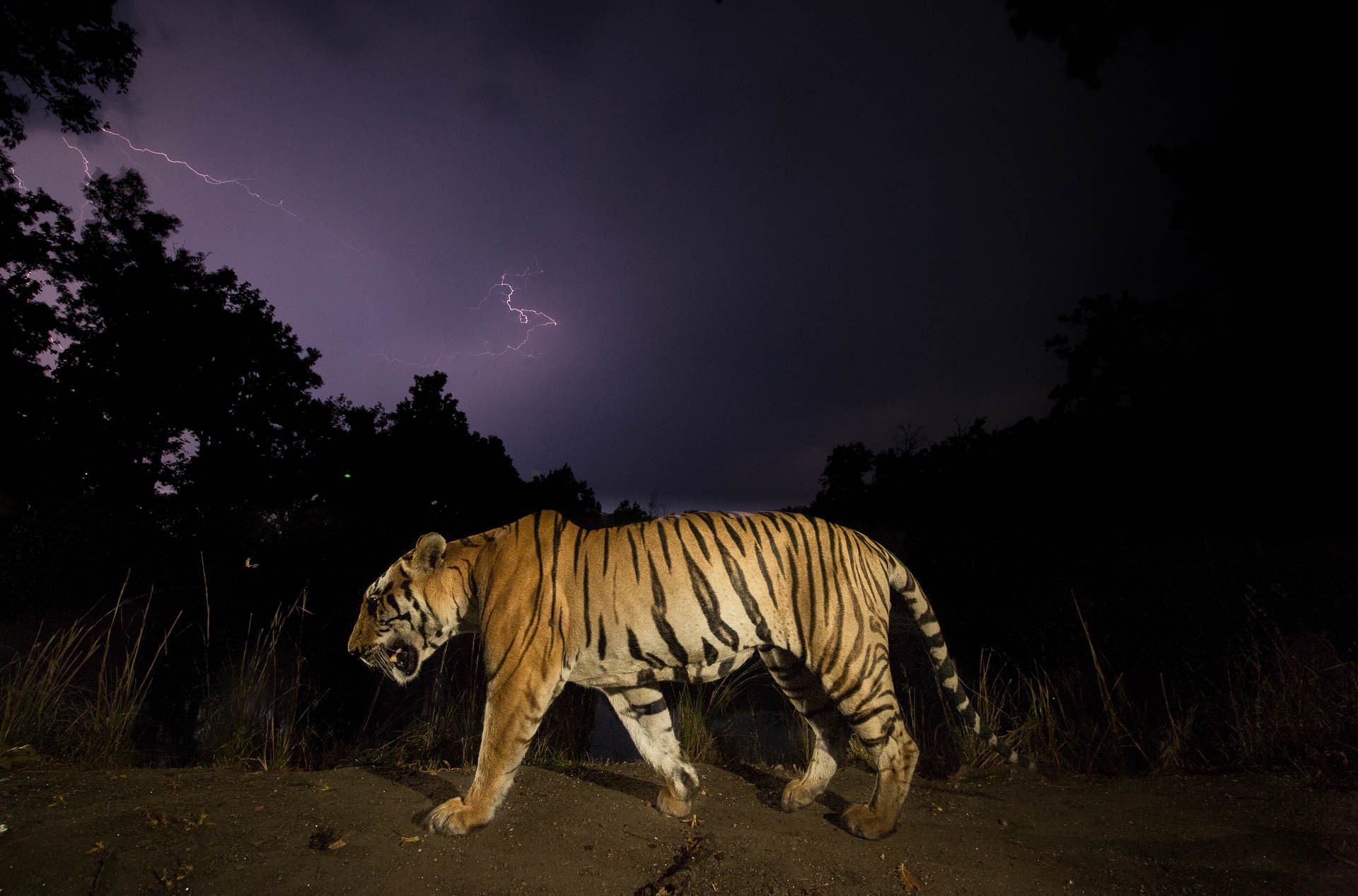 - Nature inFocus Photography Awards 2019: The Winners | Nature inFocus