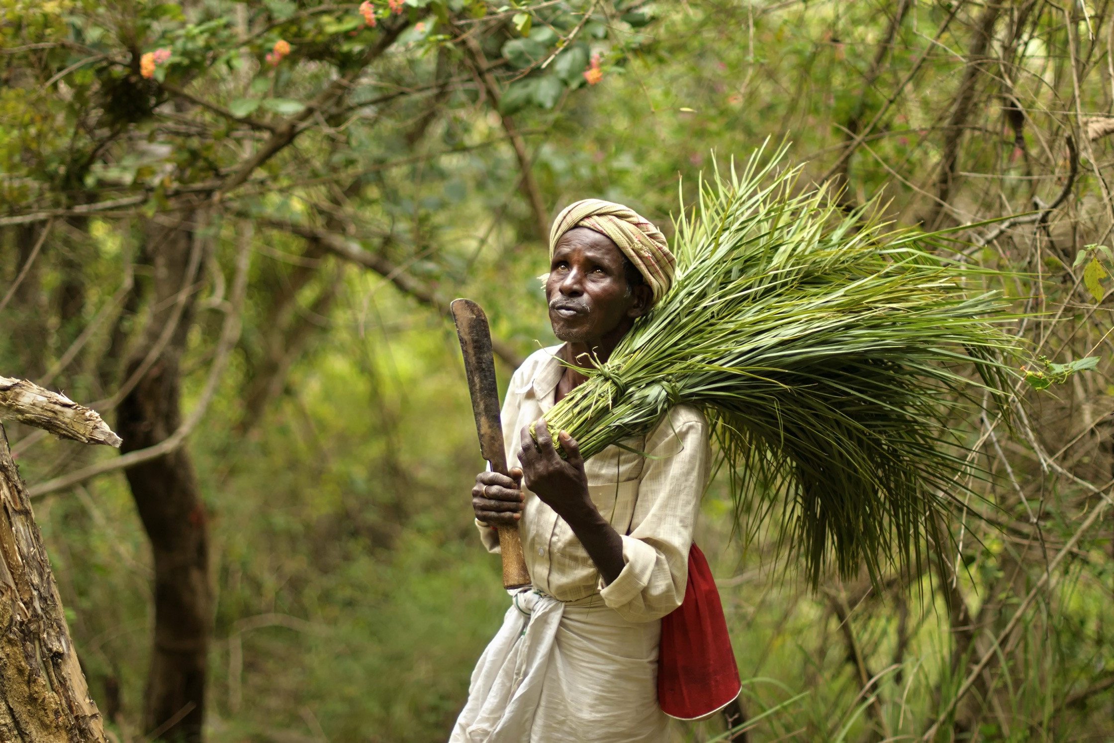 | Nature Infocus