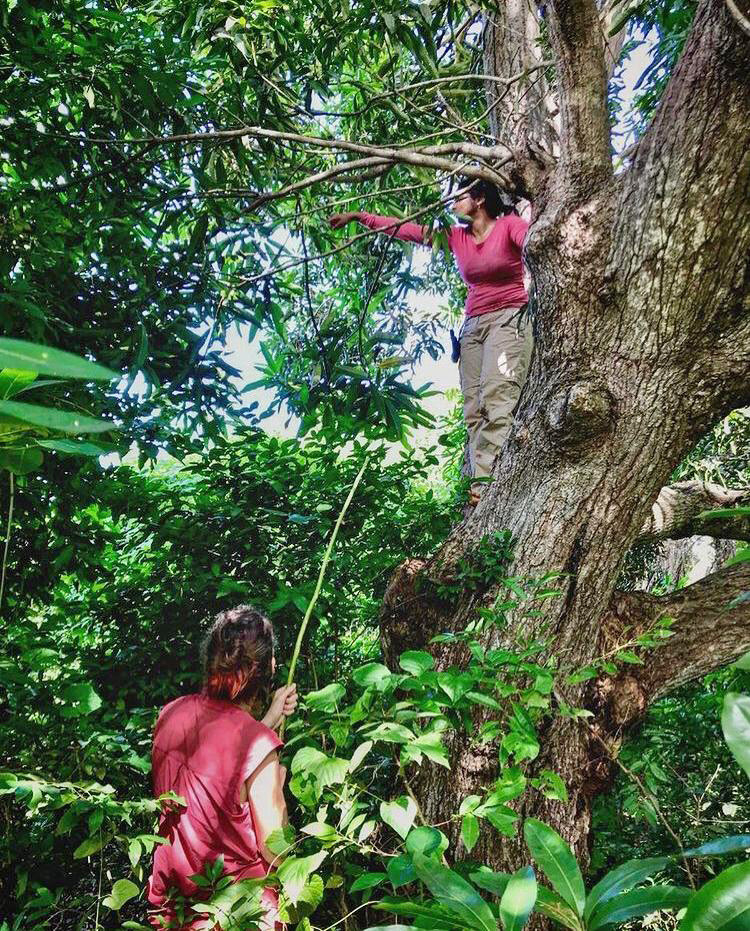 sampling Kathleen Webster | Nature Infocus