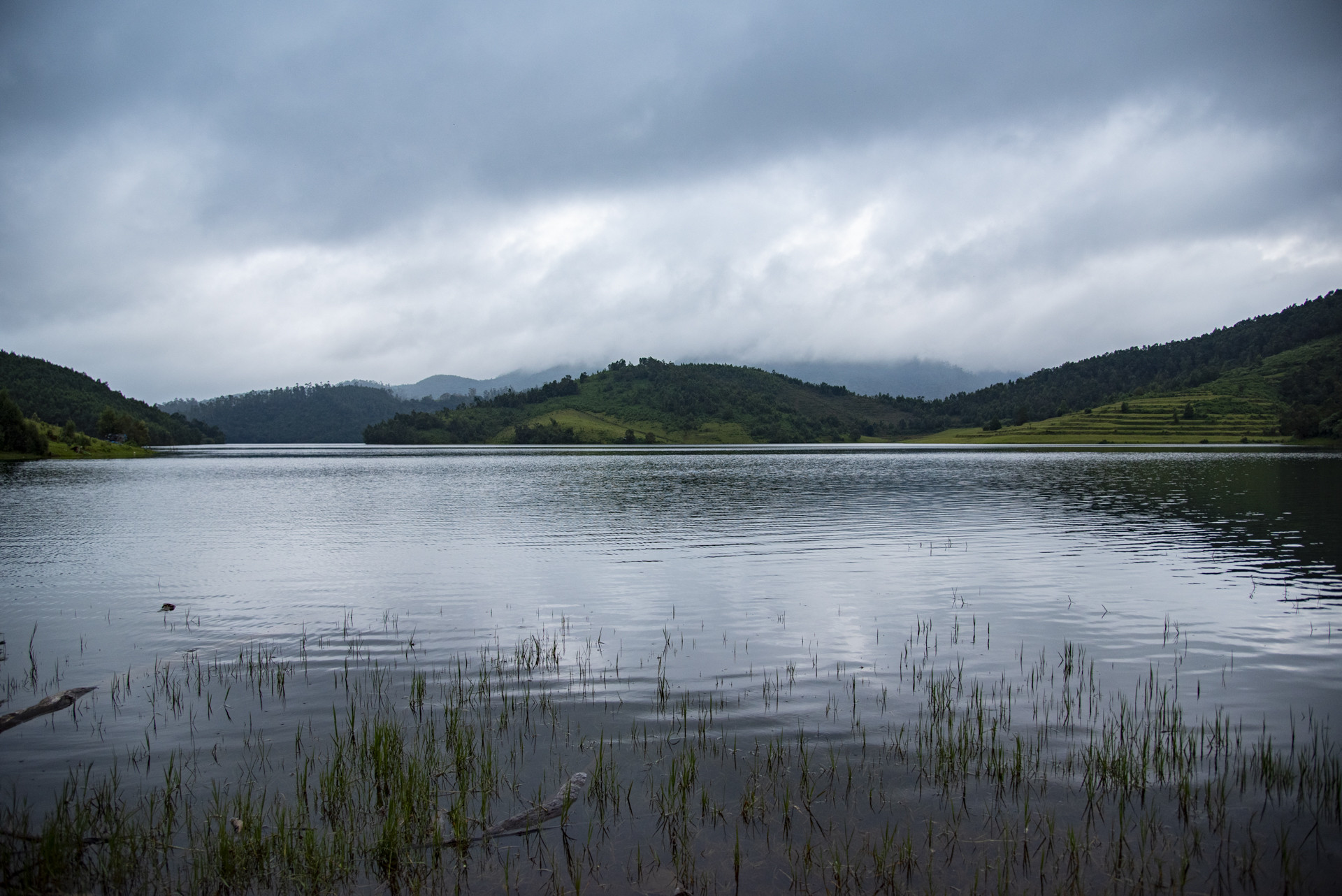 Dsc pp - Destiny Farm Stay: A Slice Of Heaven In The Nilgiris | Nature inFocus