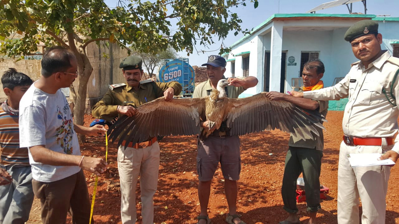 Img          wa - Birders Flock To The Forests Of Madhya Pradesh | Nature inFocus