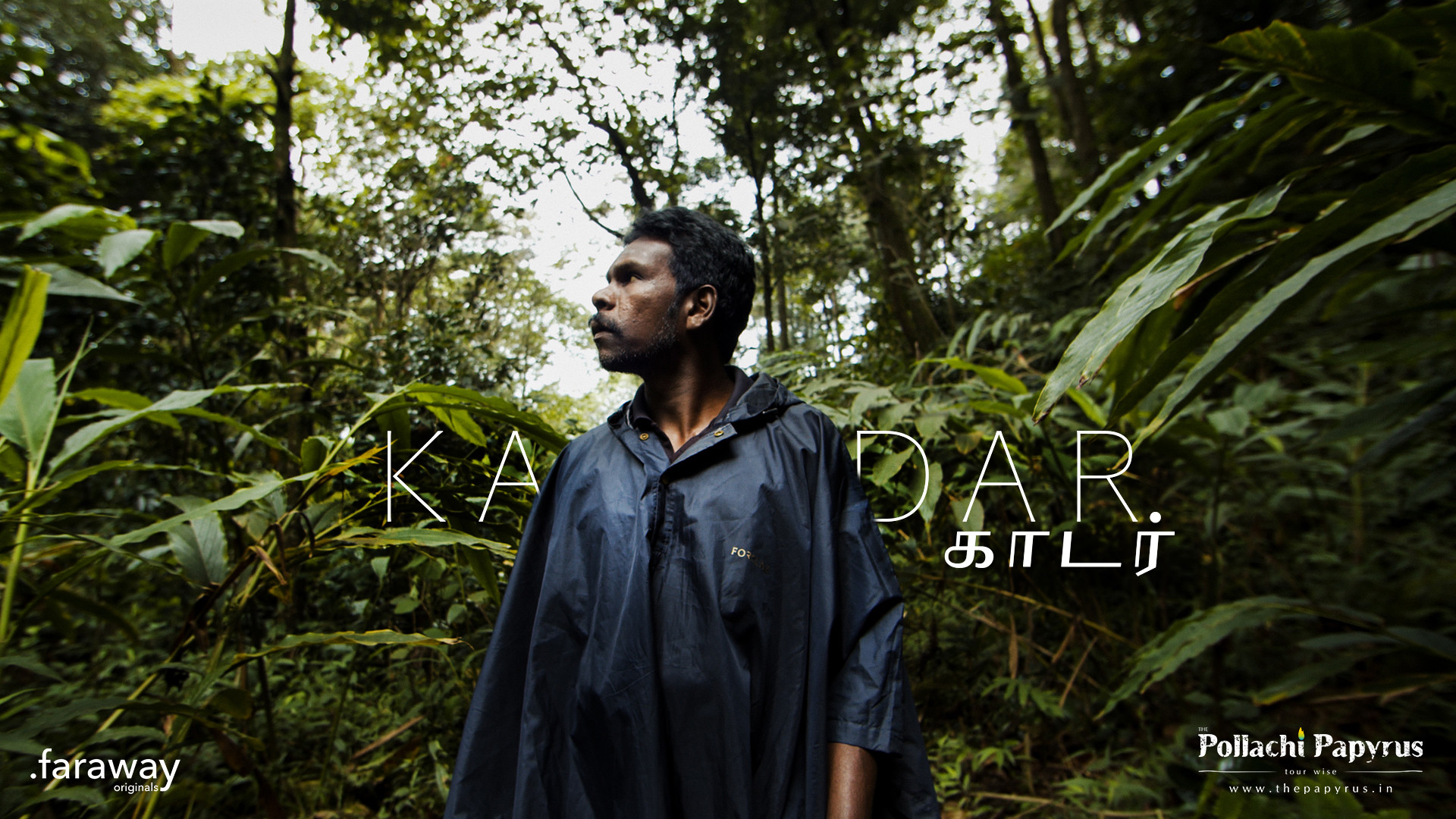 Kadar posters - Nature inFocus Film Awards 2020: The Winners | Nature inFocus