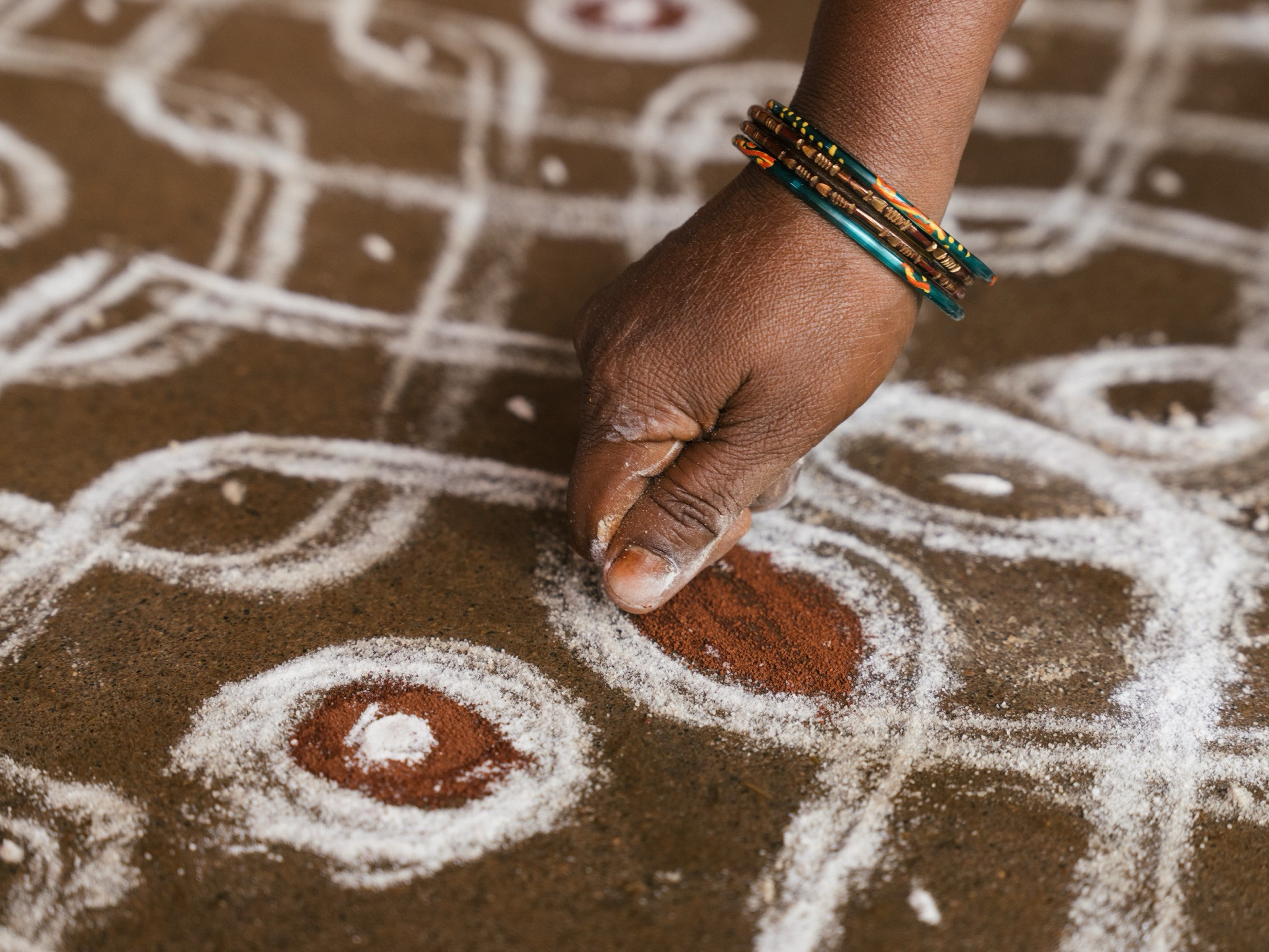 Kolam | Nature Infocus