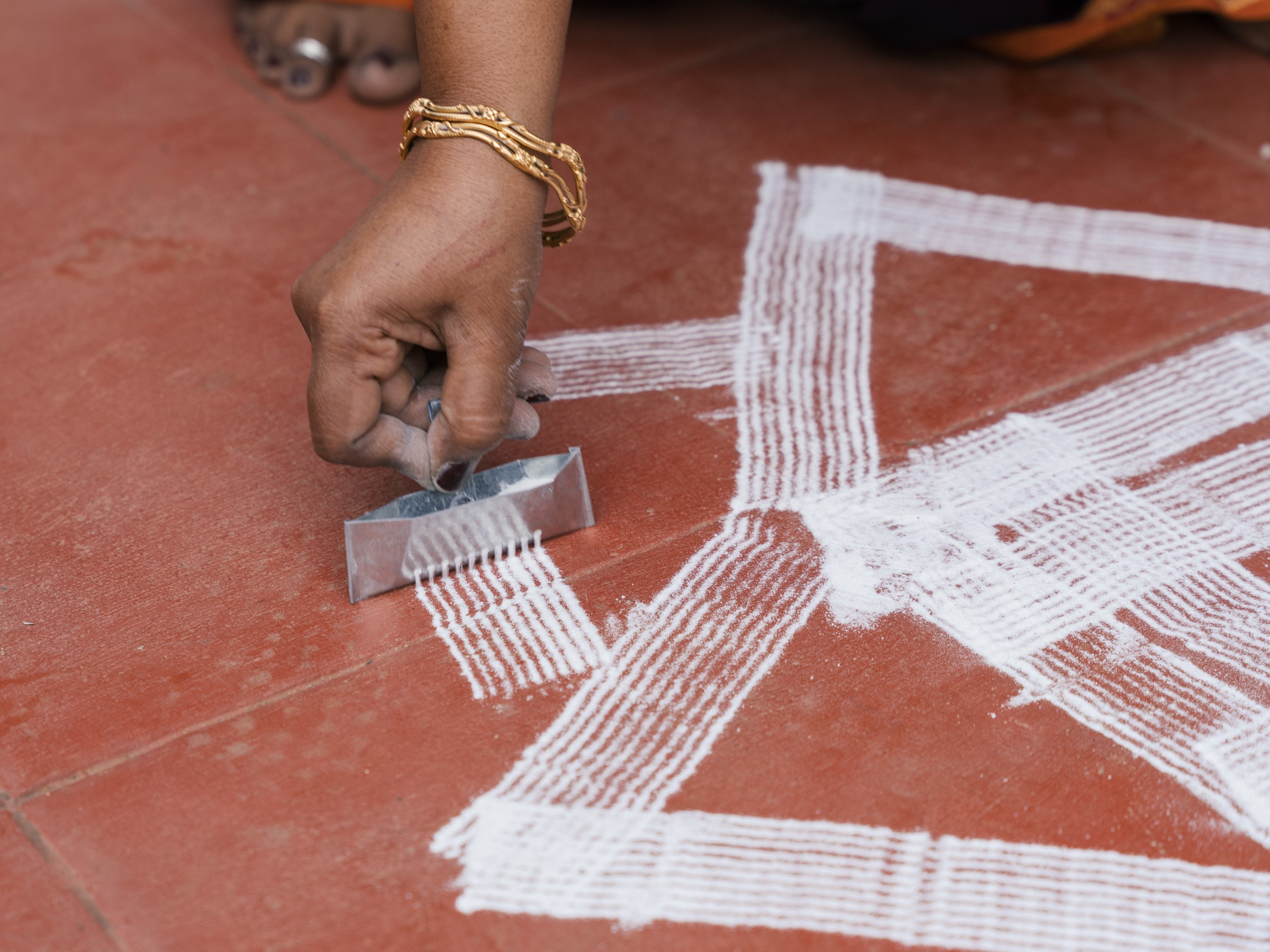 Kolam CBE | Nature Infocus