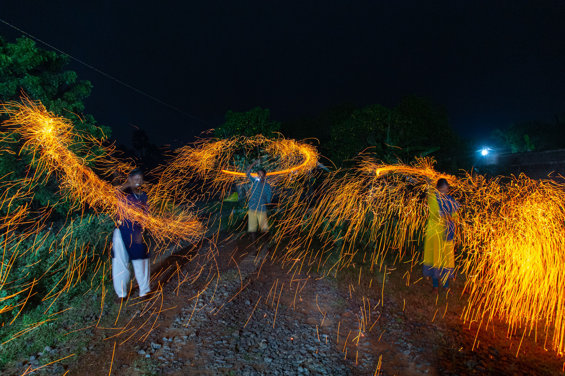 PATTABI RAMAN PALM | Nature Infocus